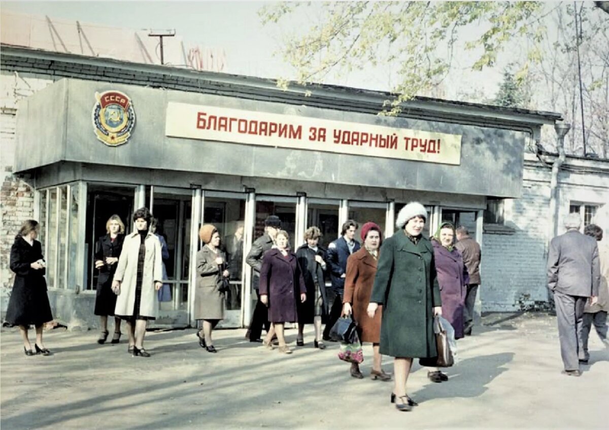 Я за еду не работаю и вам не рекомендую, тем более за такую. | Дел мастер |  Дзен