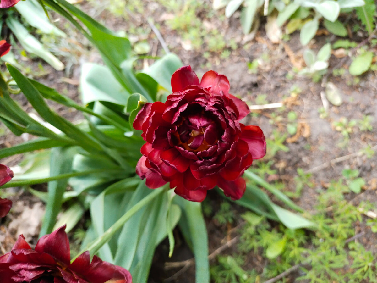 Исходное изображение)