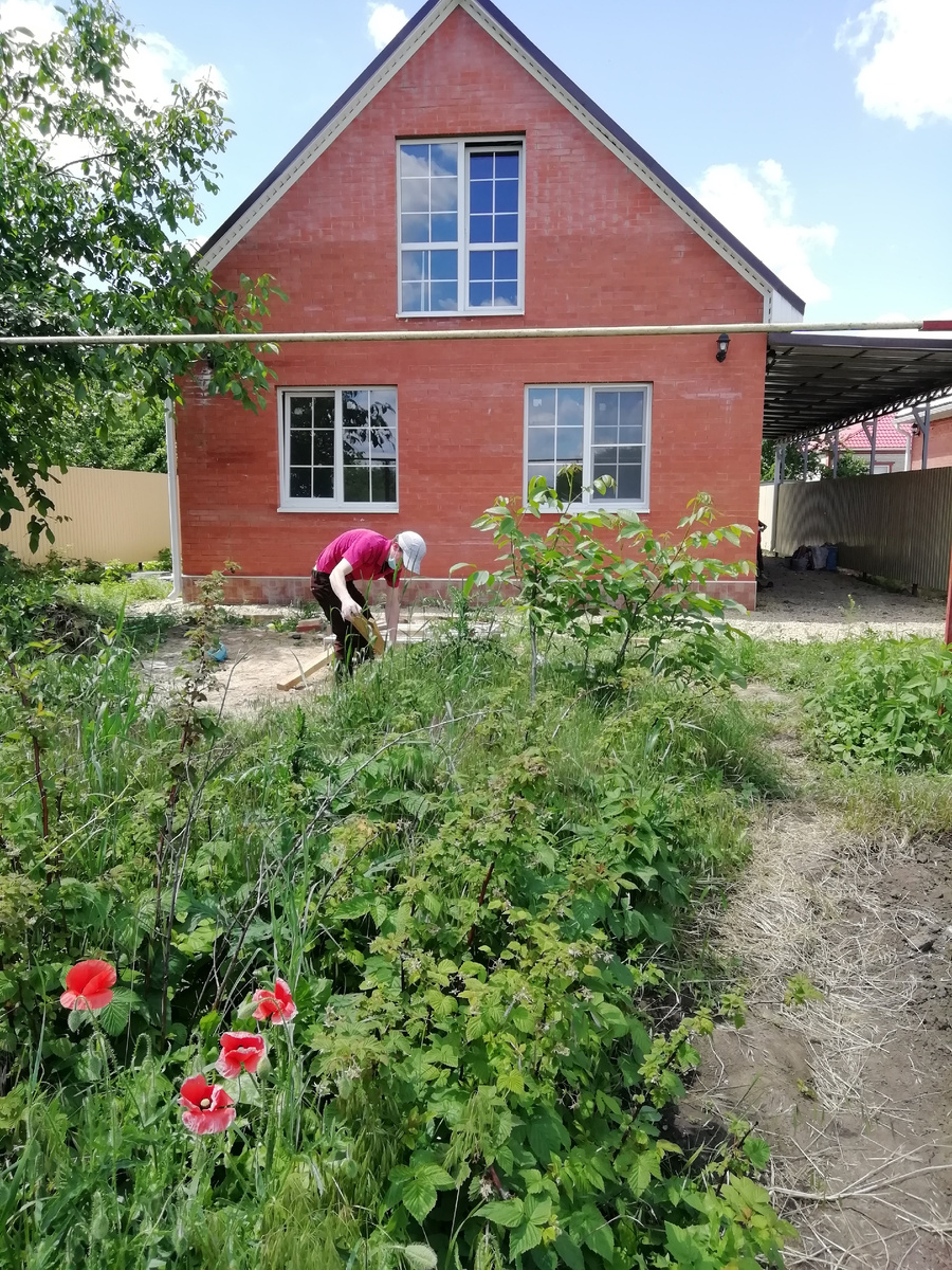 2020 год Участок заросший. 