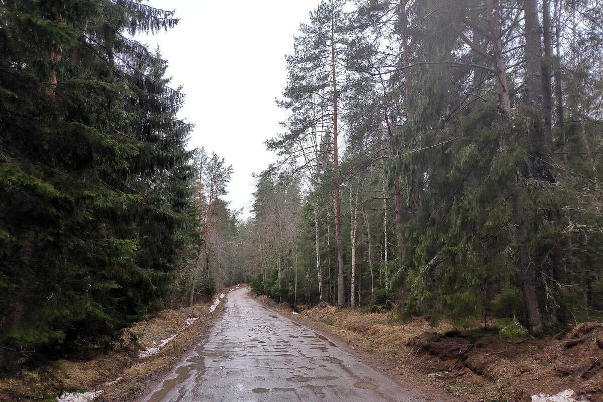 Фото: Maksim Konstantinov/Global Look Press