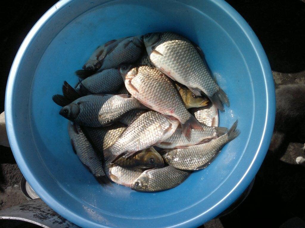 фото из интернета