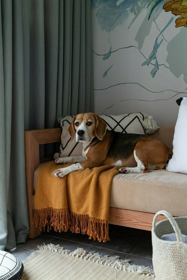  📷Дизайн: Виктория Вишневская