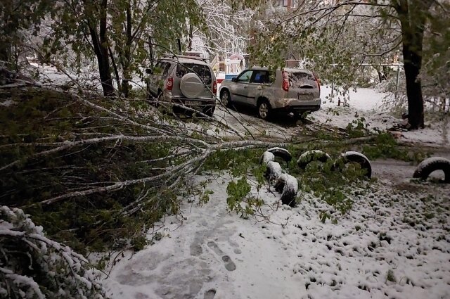    Фото: Нижний Новгород |БЕЗ ЦЕНЗУРЫ|