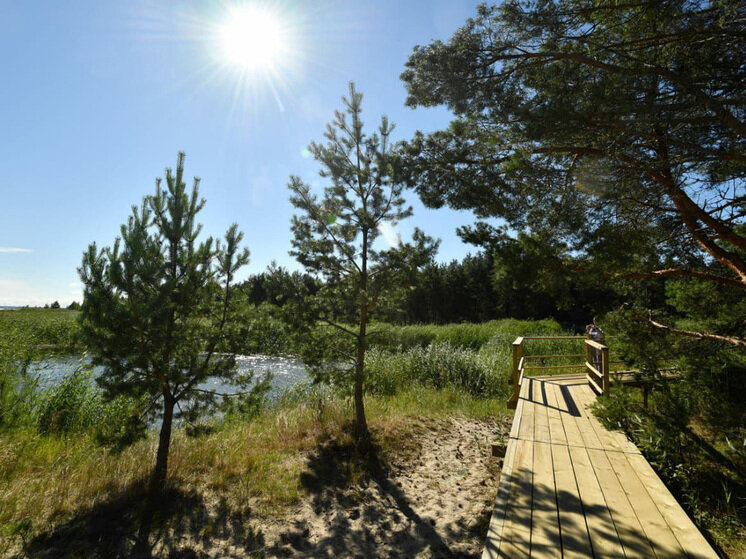     Кургальский заказник. Фото: t.me/drozdenko_au_lo