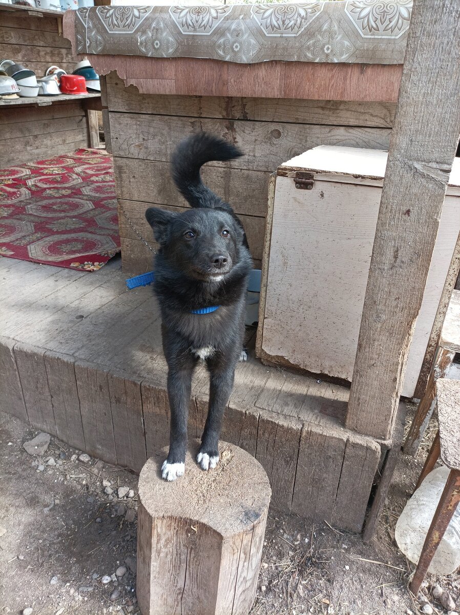 Только посмотрите на это милейшее создание)))