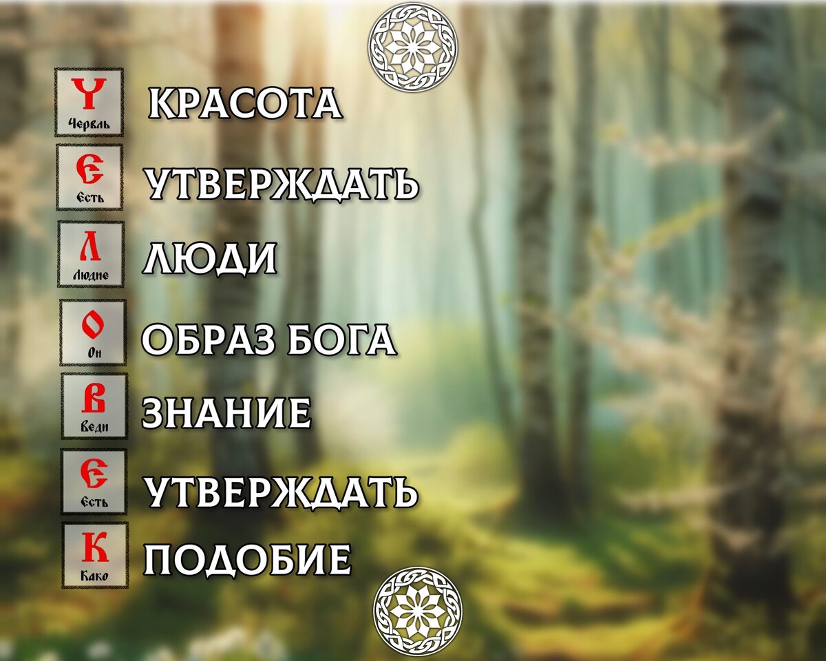 Как на Руси понимали слово ЧЕЛОВЕК? У Человека нет Души? Расследование по  буквице! | ОСОЗНАНКА | Дзен