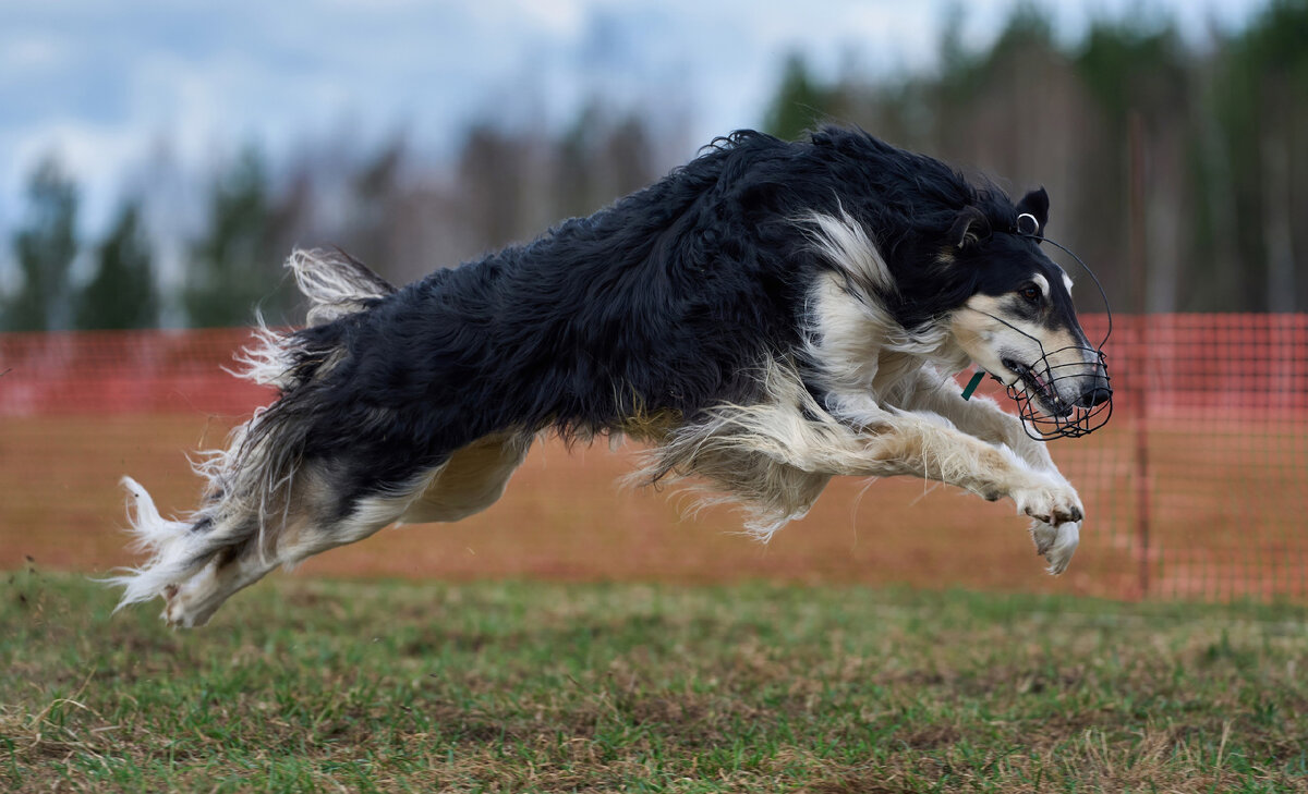 Рейсинг. Фото Михаила Манухина