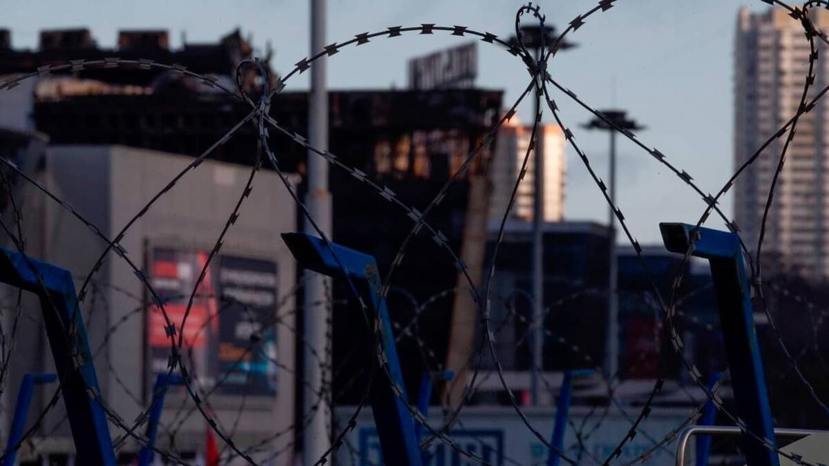 Фото: https://tvzvezda.ru/ (https://mcdn.tvzvezda.ru/storage/news_other_images/2024/04/25/f27a03012d3e417aaaa538019619162a.jpg)