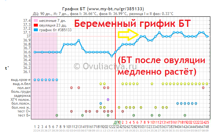 Половые контакты во время беременности