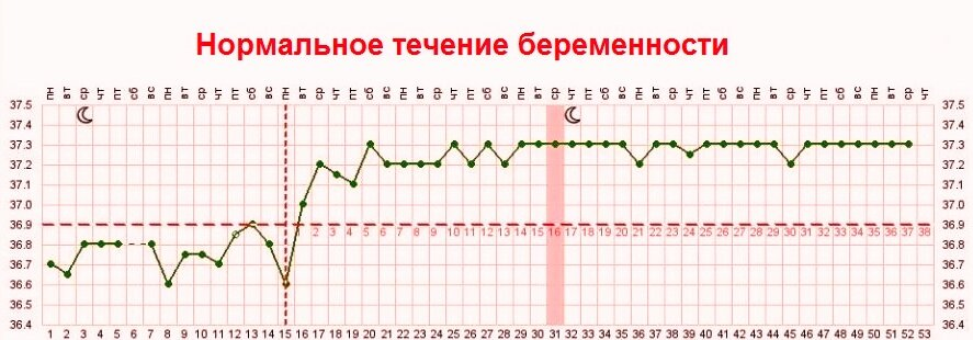 Какой график у беременных Что такое базальная температура при беременности и как её измерить? О детском зд