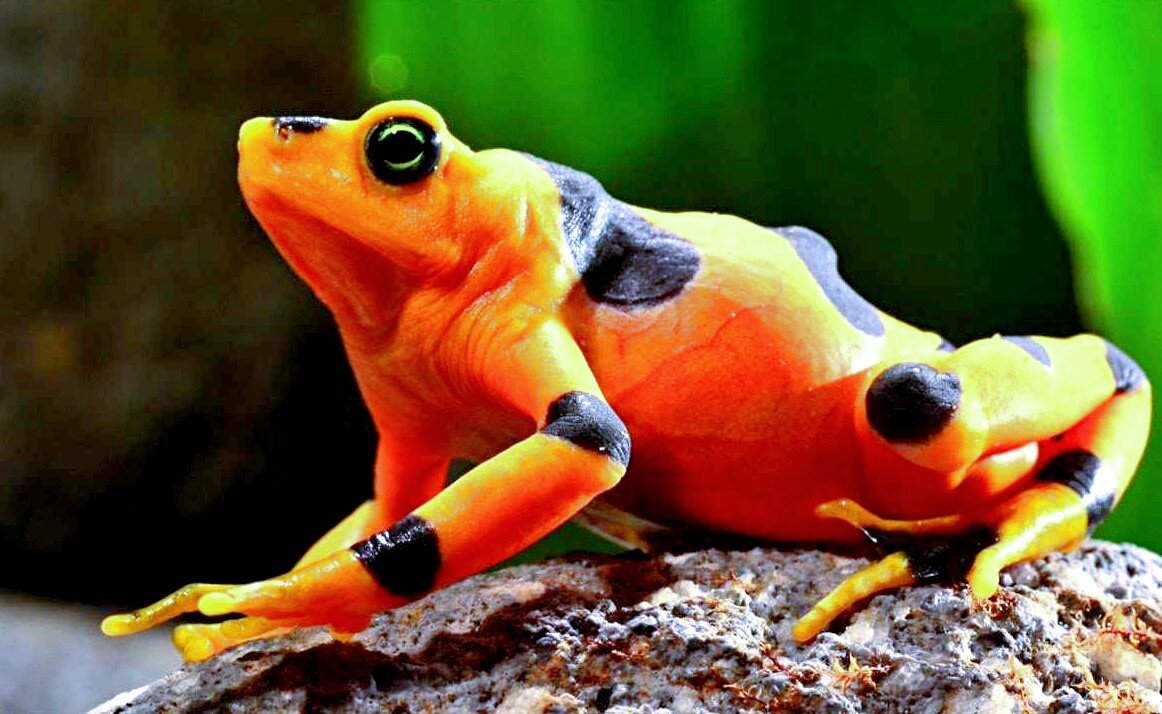 Источник фото: likes-cs.ru