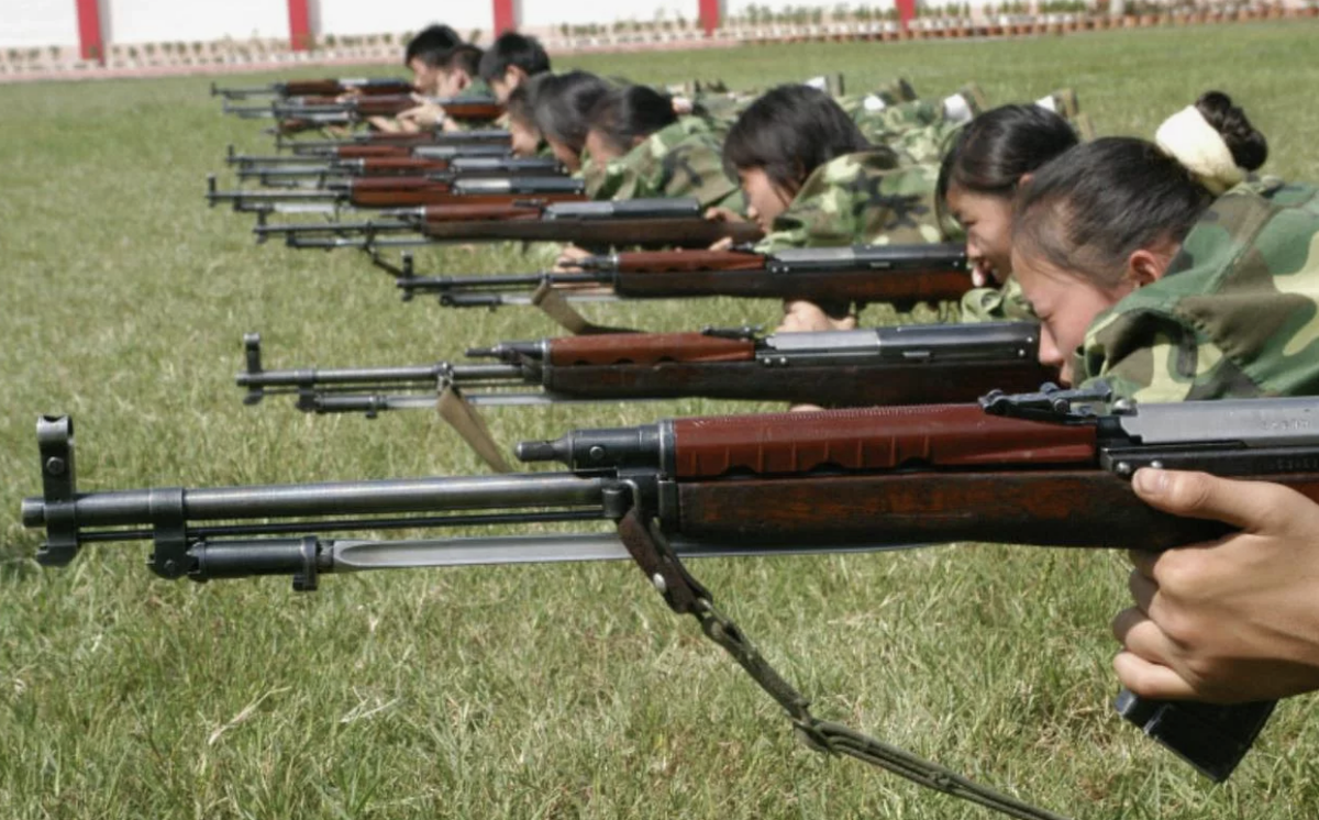 Модель штурмовой винтовки, известная как Тип 63/Тип 68, была разработана в 1959-1963 гг в качестве основного вида стрелкового вооружения Народно-Освободительной Армии Китая (НОАК).-2