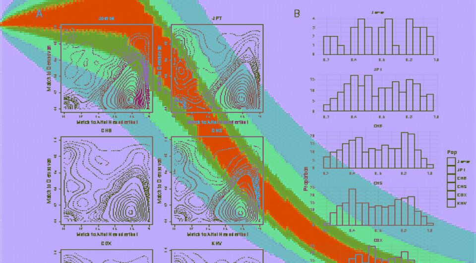   N + 1; Yusuke Watanabe et al. / bioRxiv, 2024