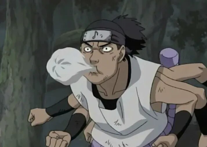 Кидомару из аниме «Наруто»   📷