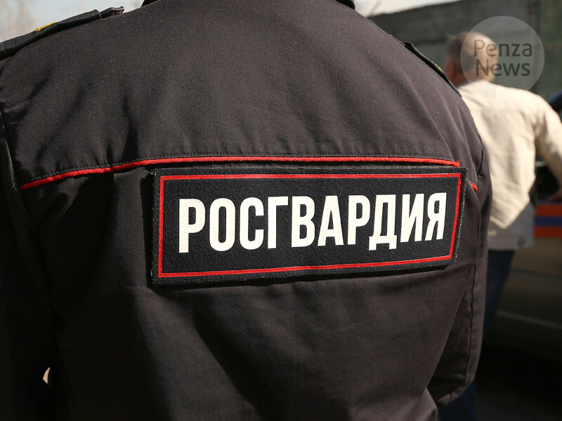    © Фото из архива ИА «PenzaNews»