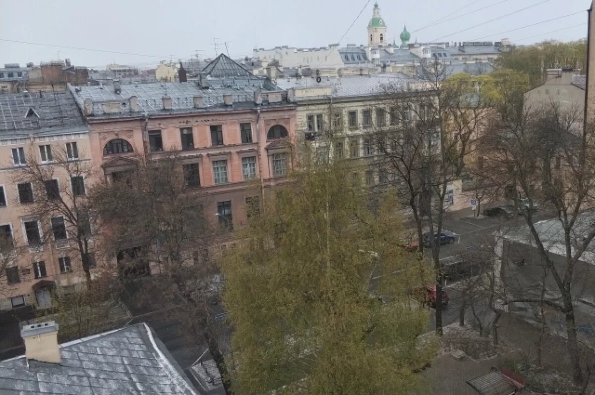    Холода пока не уходят, и в центре Петербурга зафиксирован майский «минус»