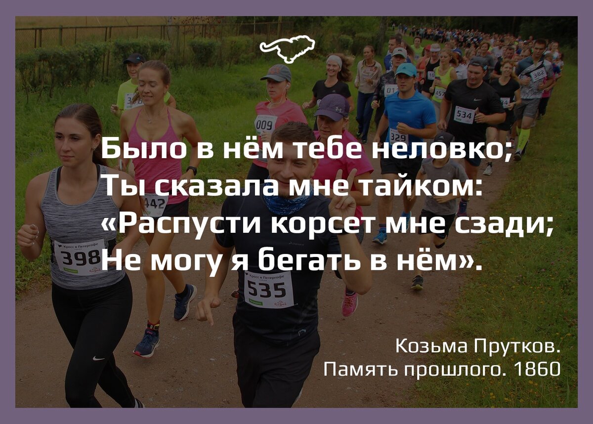 На фото: Летний Кросс в Петегофе 2018 года