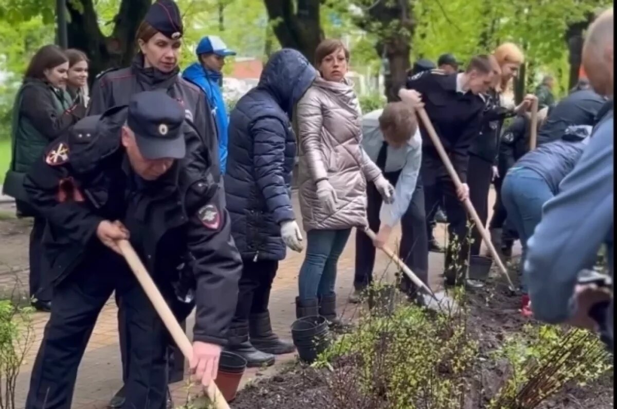    В Калуге ко Дню Победы посадили более 150 деревьев