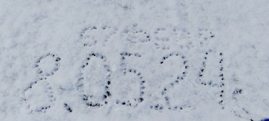 Снег в Тверской области в начале мая