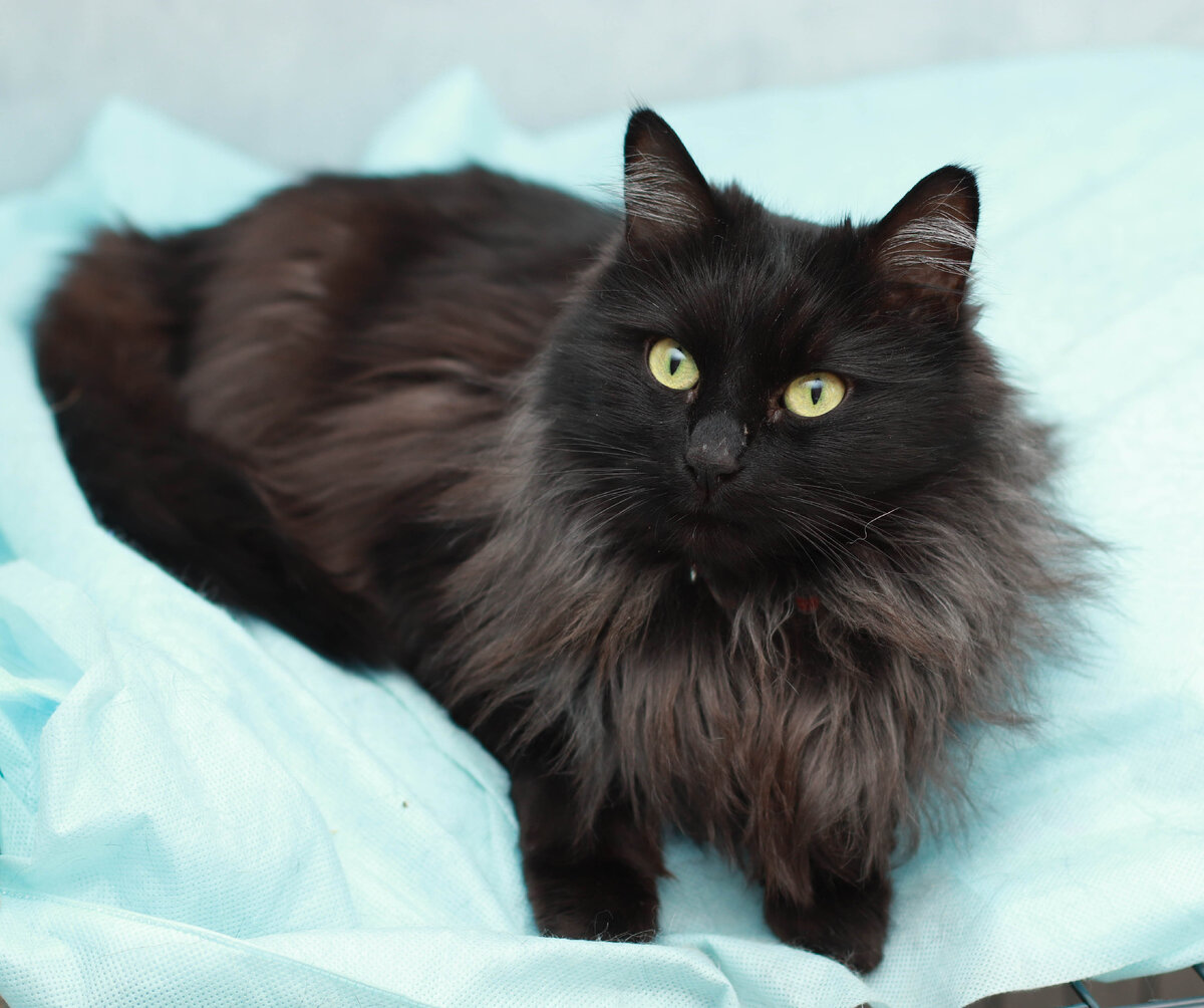 Жалко их всех очень. Как же они зависят от нашего поступка