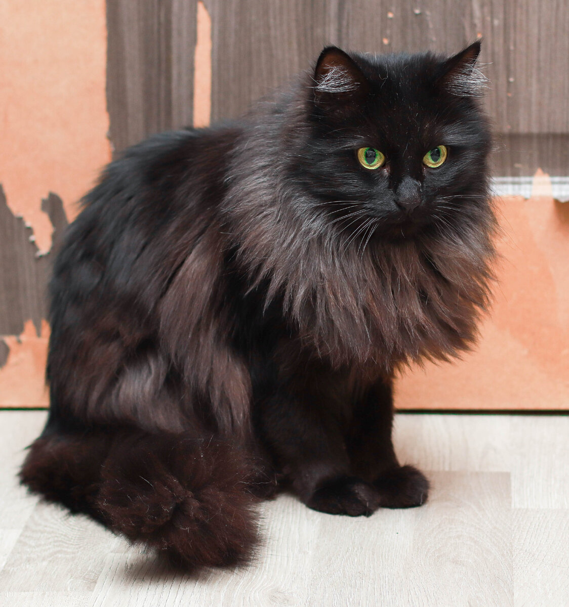 Но Жоржио молодец! Принял перемены спокойно