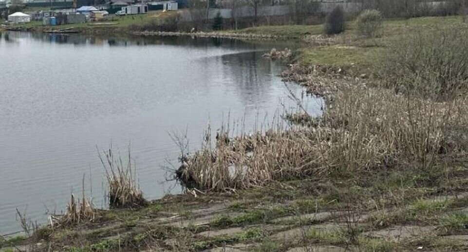    Минэкологии МО.