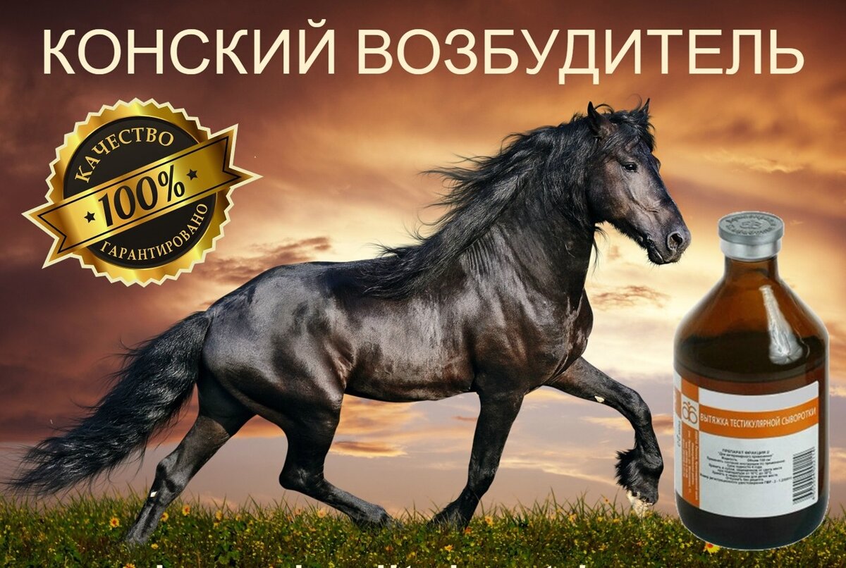 "Конский возбудитель"
