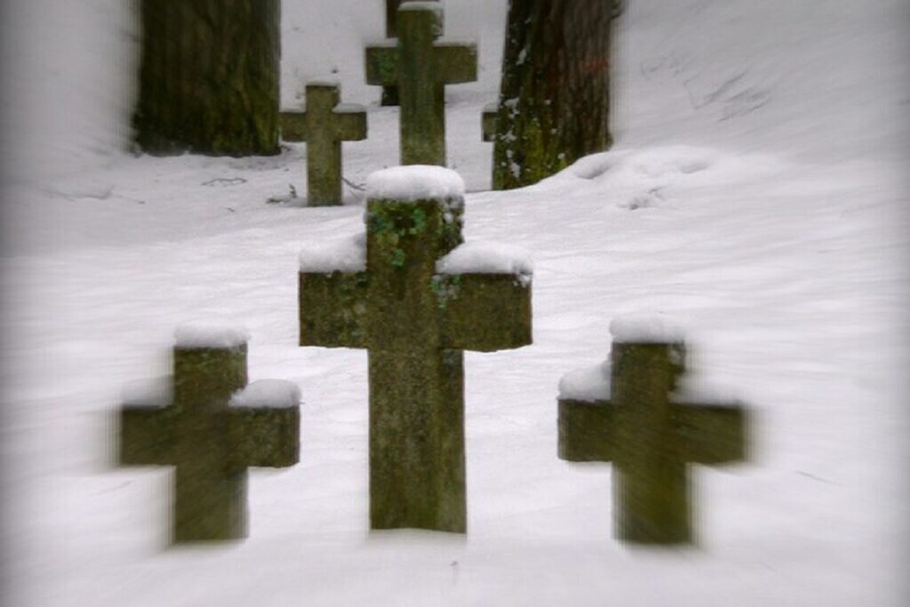 Фото: Денис Алфимцев