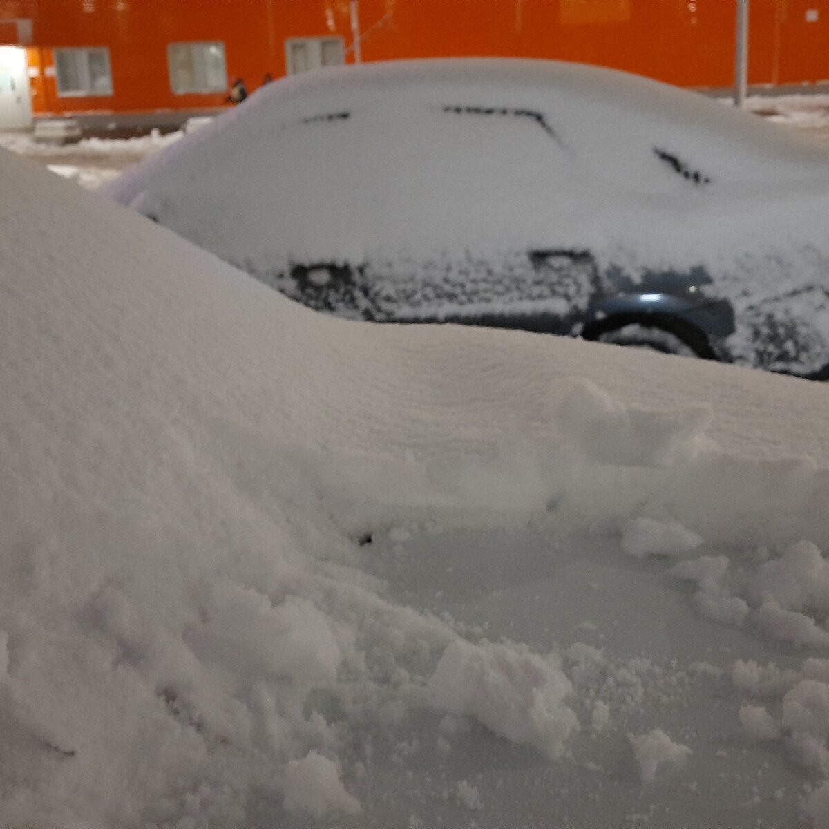 Фото: Соболева Елена Сергеевна 