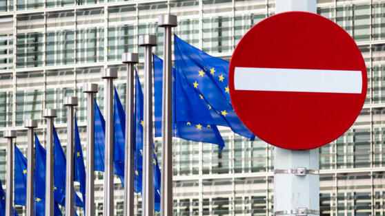    СМИ: страны Евросоюза должны согласовать 14-й пакет санкций против РФ до июля Ирина Петрова