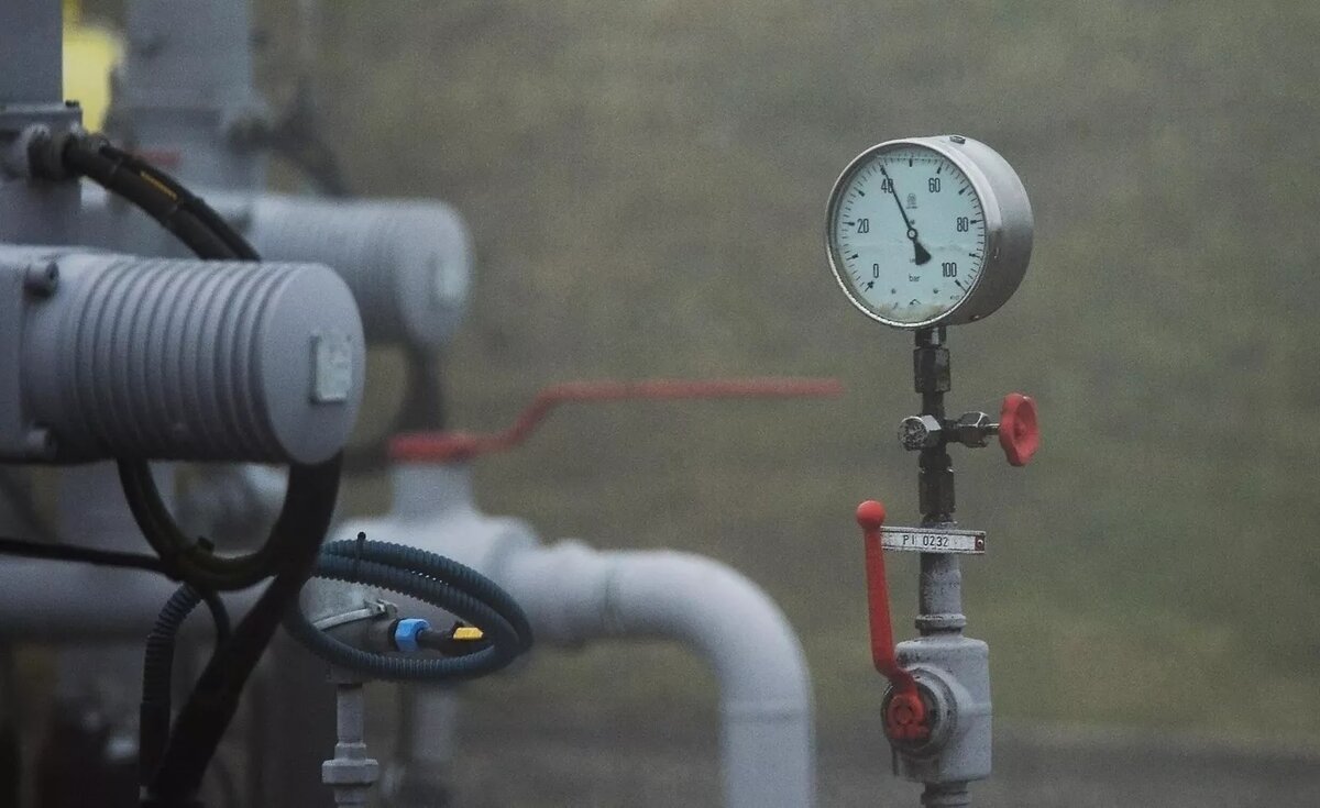 © Sputnik / Алексей Витвицкий