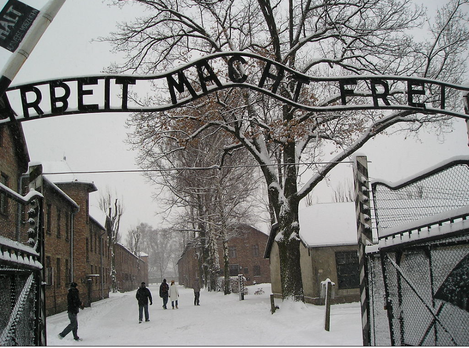 Ты, может быть, думаешь, в Освенциме немцы наших убивали? Они работать заставляли, потому  что "Труд освобождает"