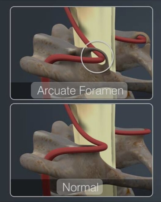 Жалаңаш Юлия Александровна