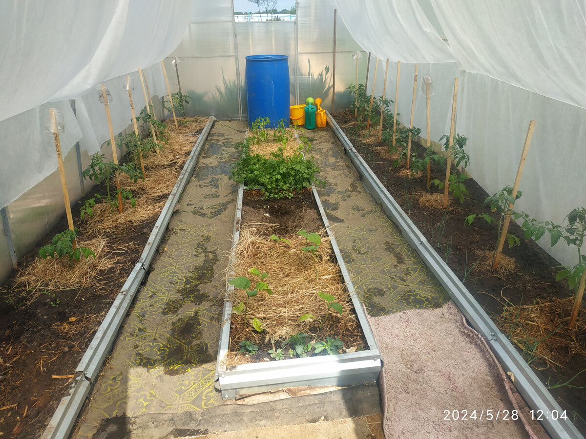 наша теплица