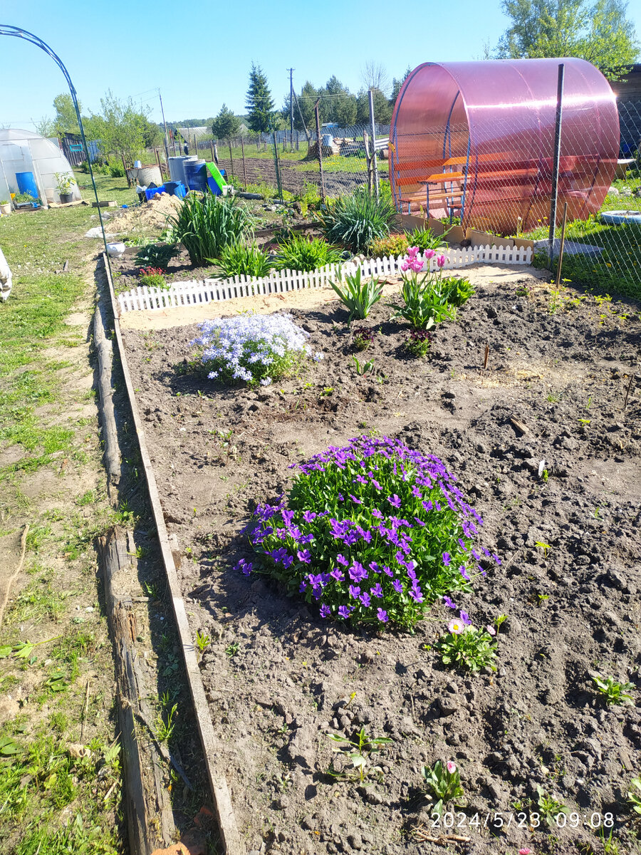 клумба у дома