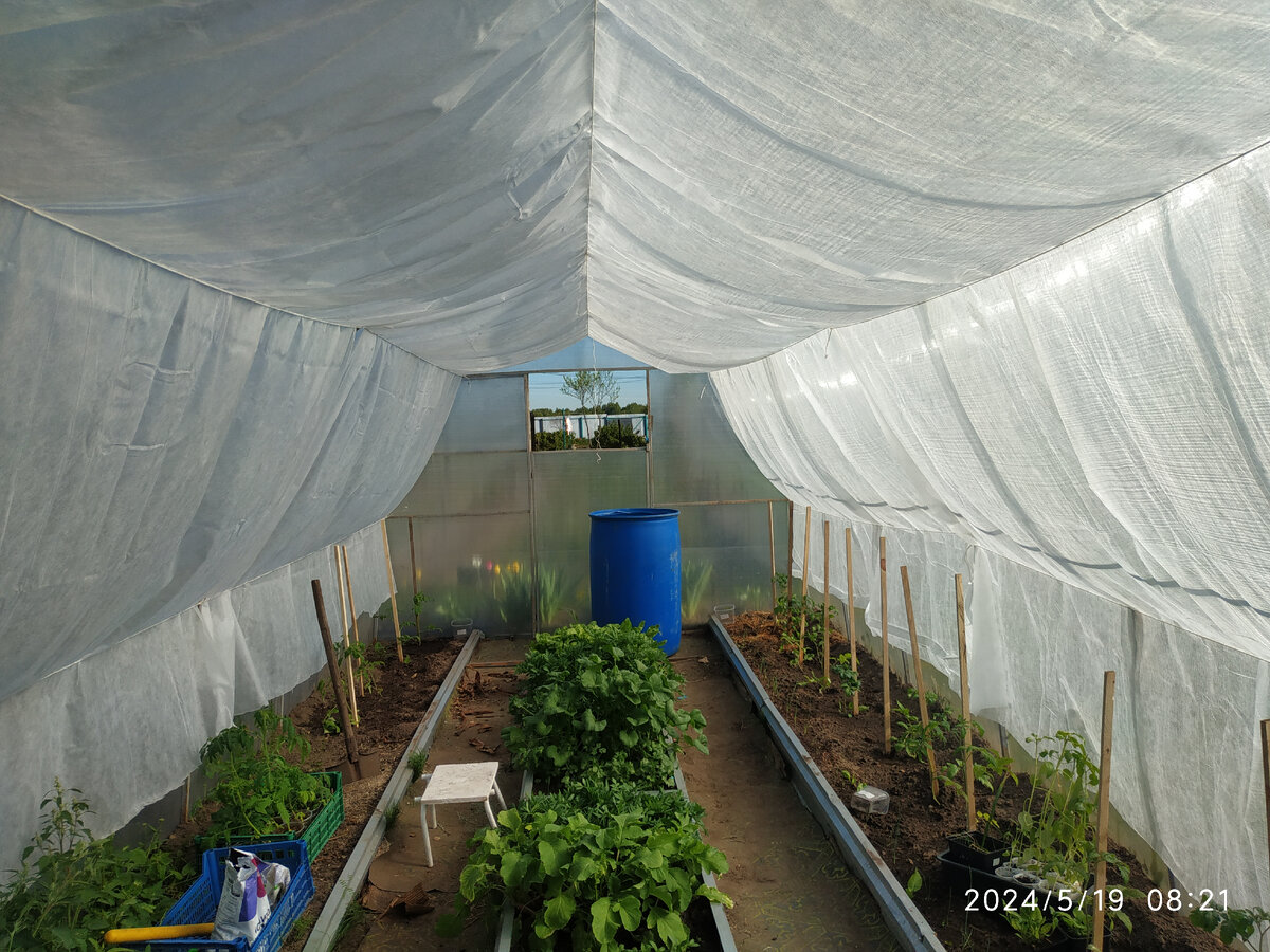 наша теплица