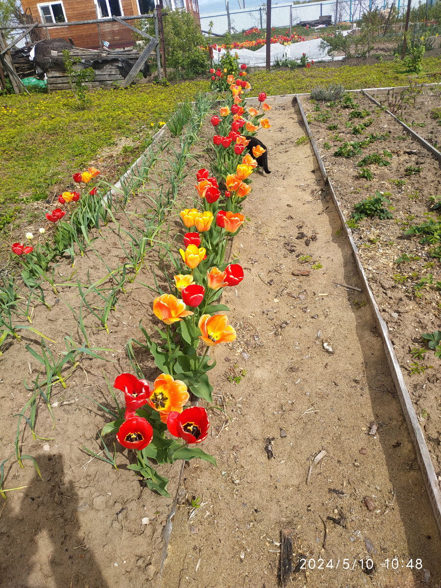 наш участок