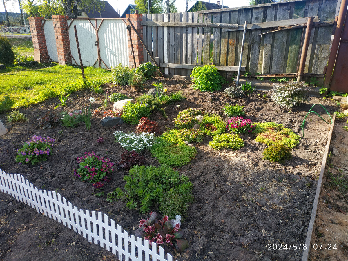 клумба у дома