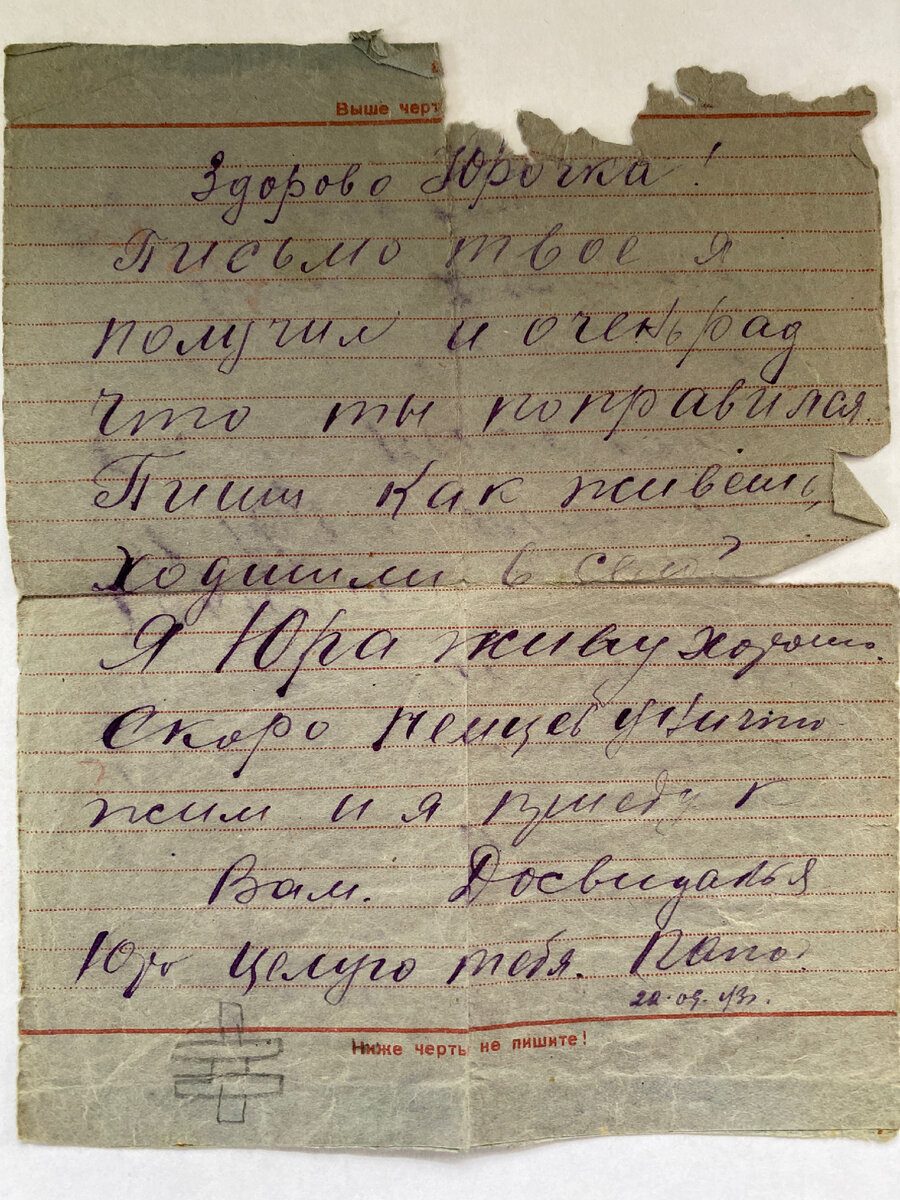 Письма с фронта моего деда моему папе. Семейная реликвия | Немелочи жизни |  Дзен