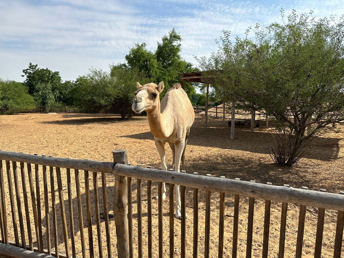Обычно знаковые места, которые находятся под открытым небом, на лето закрывают