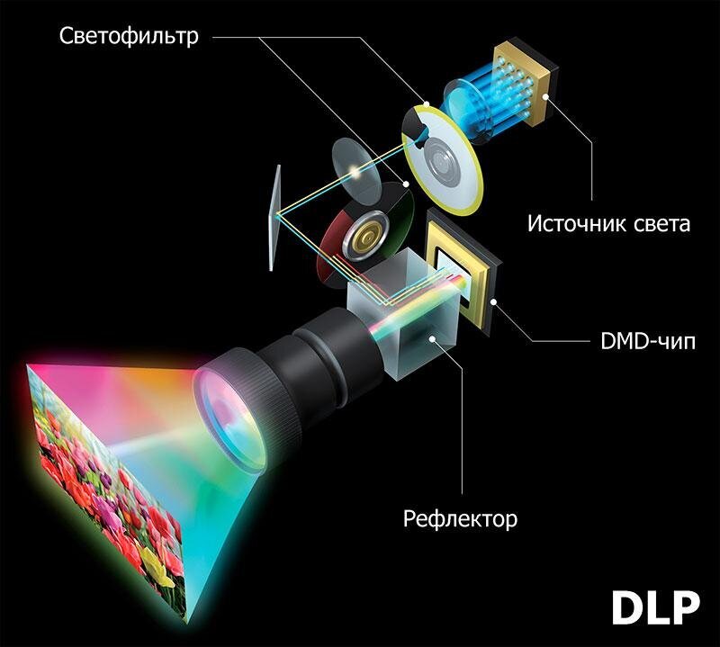 Тело напоминает биологический проектор, который показывает кино Жизни. Без тела нельзя осознать, существует ли вообще мир?  