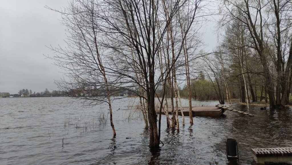 На три см выше «высокого». В водоемах Тверской области снижается уровень воды