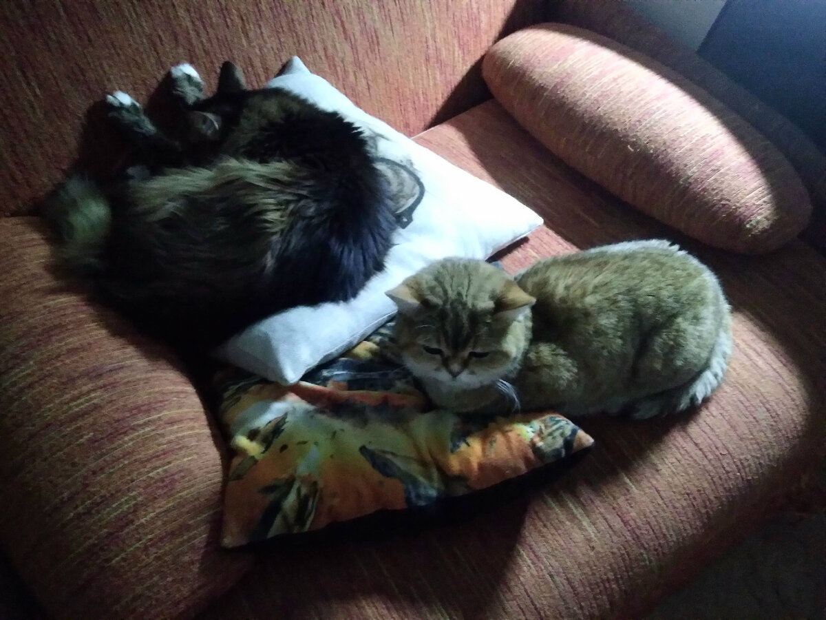 Лежбище котиков)))