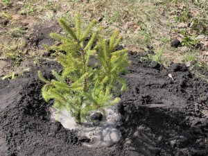    Фото: Минприроды Новосибирской области