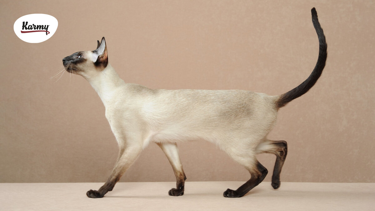 Авторское изображение с использованием картинки с сайта i.pinimg.com