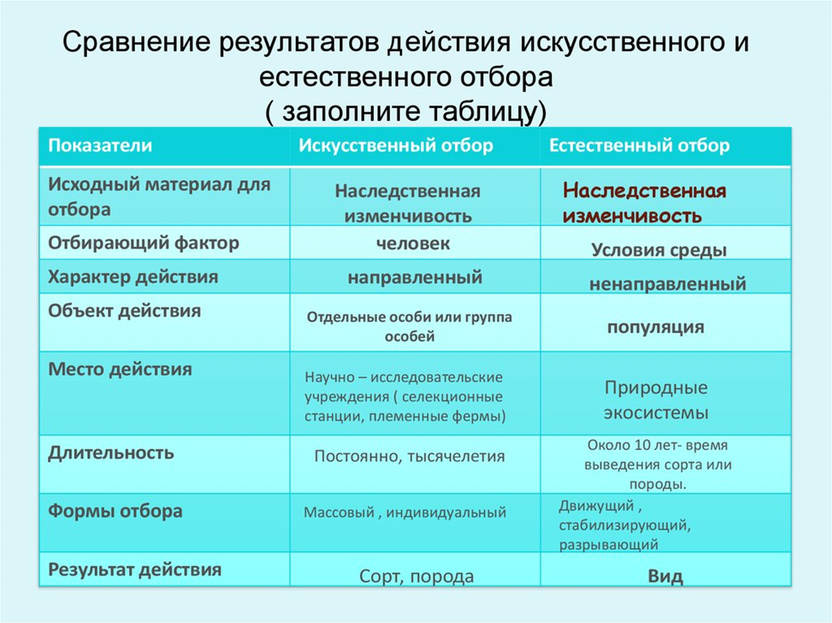 Сравнение биологический. Сравнение естественного и искусственного отбора таблица 11 класс. Таблица признаки искусственный отбор естественный отбор. Таблица искусственный и естественный отбор биология 11 класс. Заполните таблицу сравнение естественного и искусственного отбора.