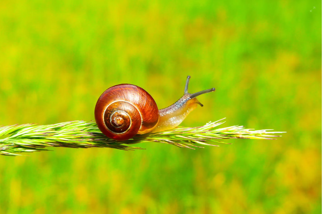 Источник: unsplash.com