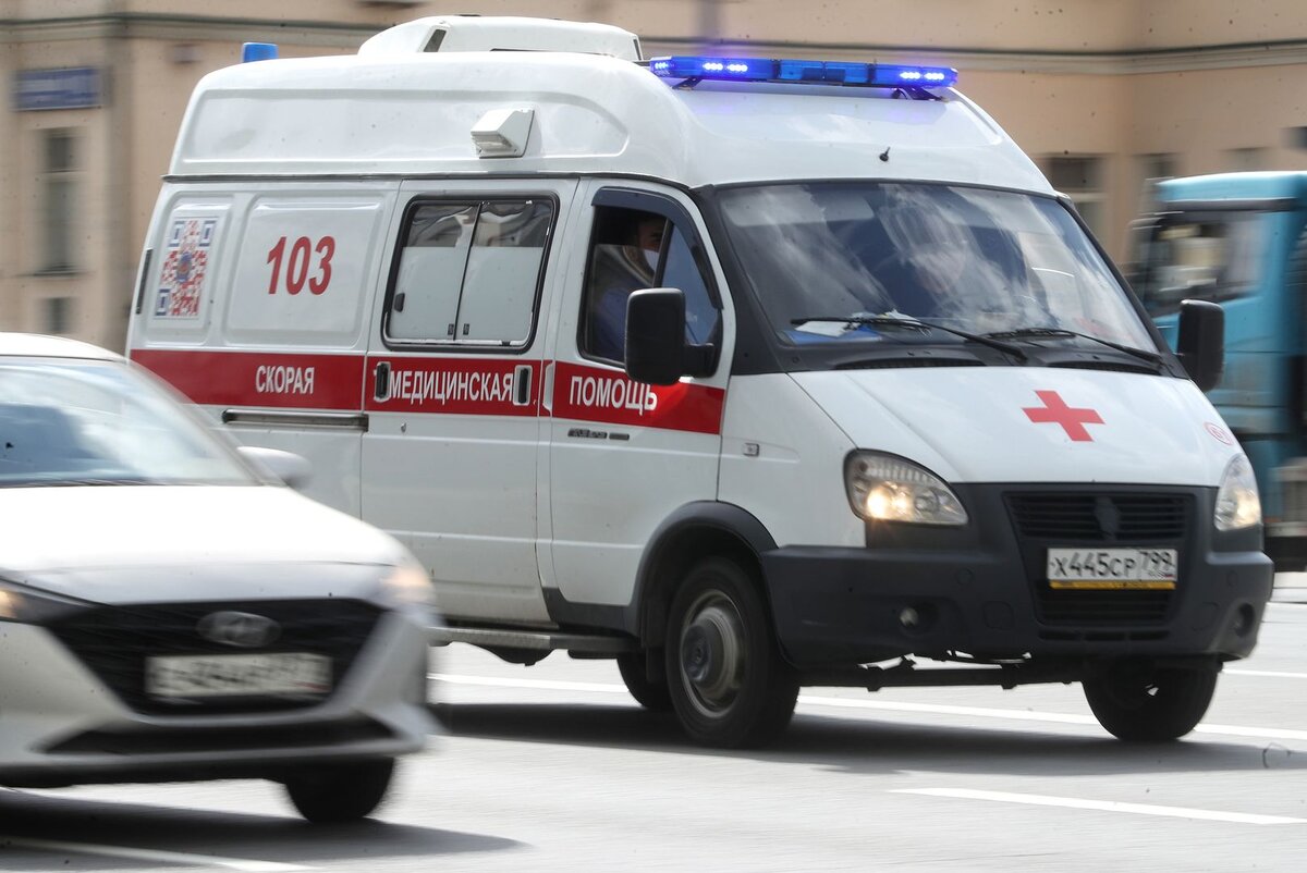    © ИЗВЕСТИЯ / Андрей Эрштрем