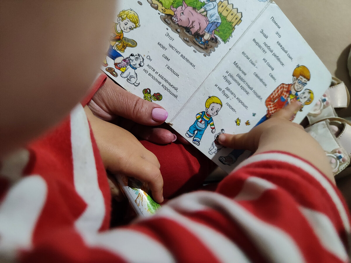 читаем , рассматриваем картинки, показывает собаку, мальчика.