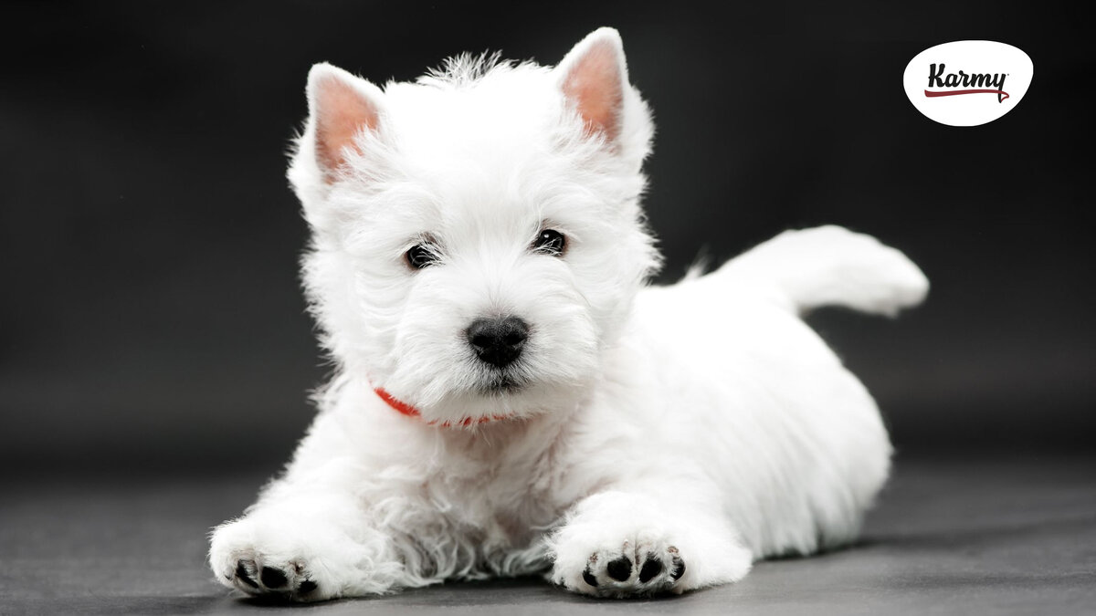 Авторское изображение с использованием картинки с сайта i.pinimg.com